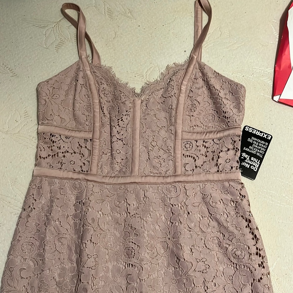 Express Blush Lace Bodycon Corset Dress